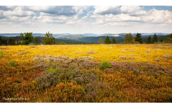 Kahle Asten | Winterberg