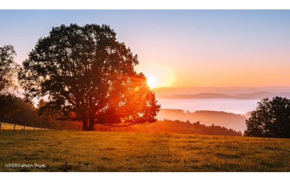 Sonnenaufgang Windhausen
