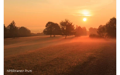 Sonnenaufgang Trupbacher Heide