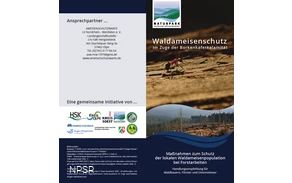 Waldameisenschutz