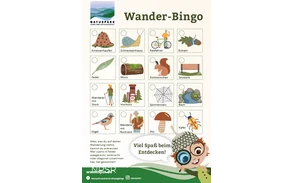 Wander-Bingo