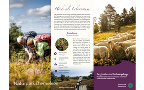 Bergheiden im Rothaargebirge