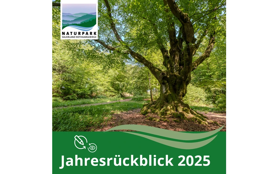 Jahresrückblick 2025