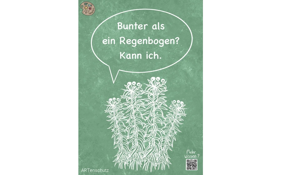 Torfmoos Illustration Torfmoos Illustration