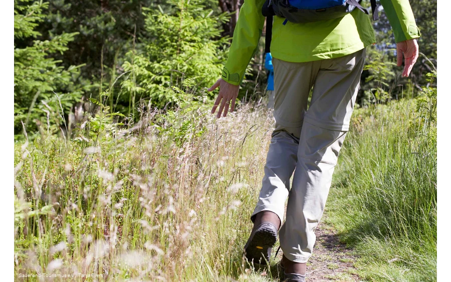 Wanderer im Gras