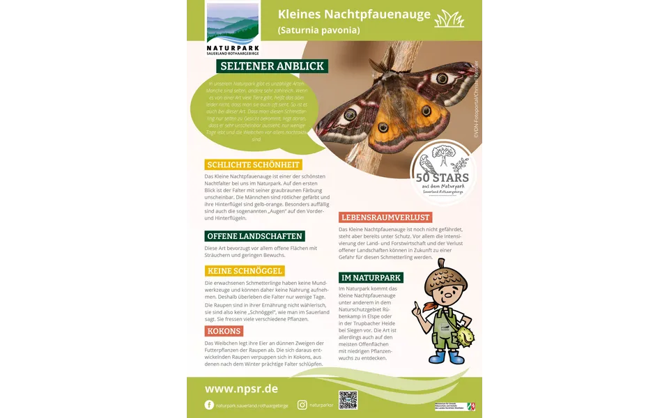 24_Nachtpfauenauge