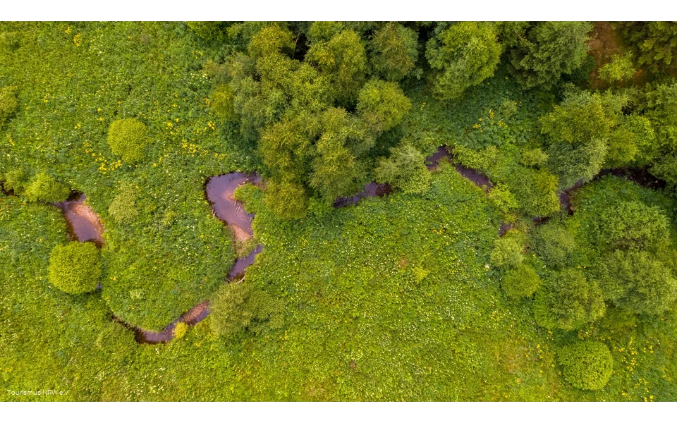 Elberndorftal aus der Vogelperspektive