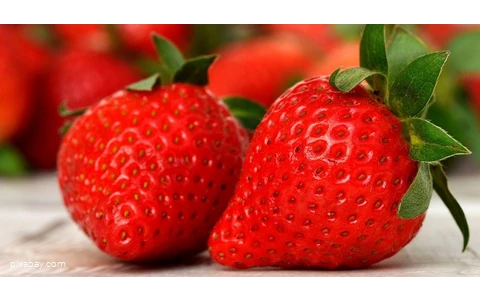Erdbeeren