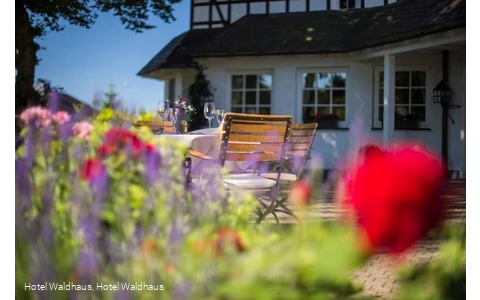 Biergarten Hotel Waldhaus