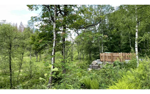 Informationsplateau Ebbemoore & Sagenort "Die Römer in der Grundlose"