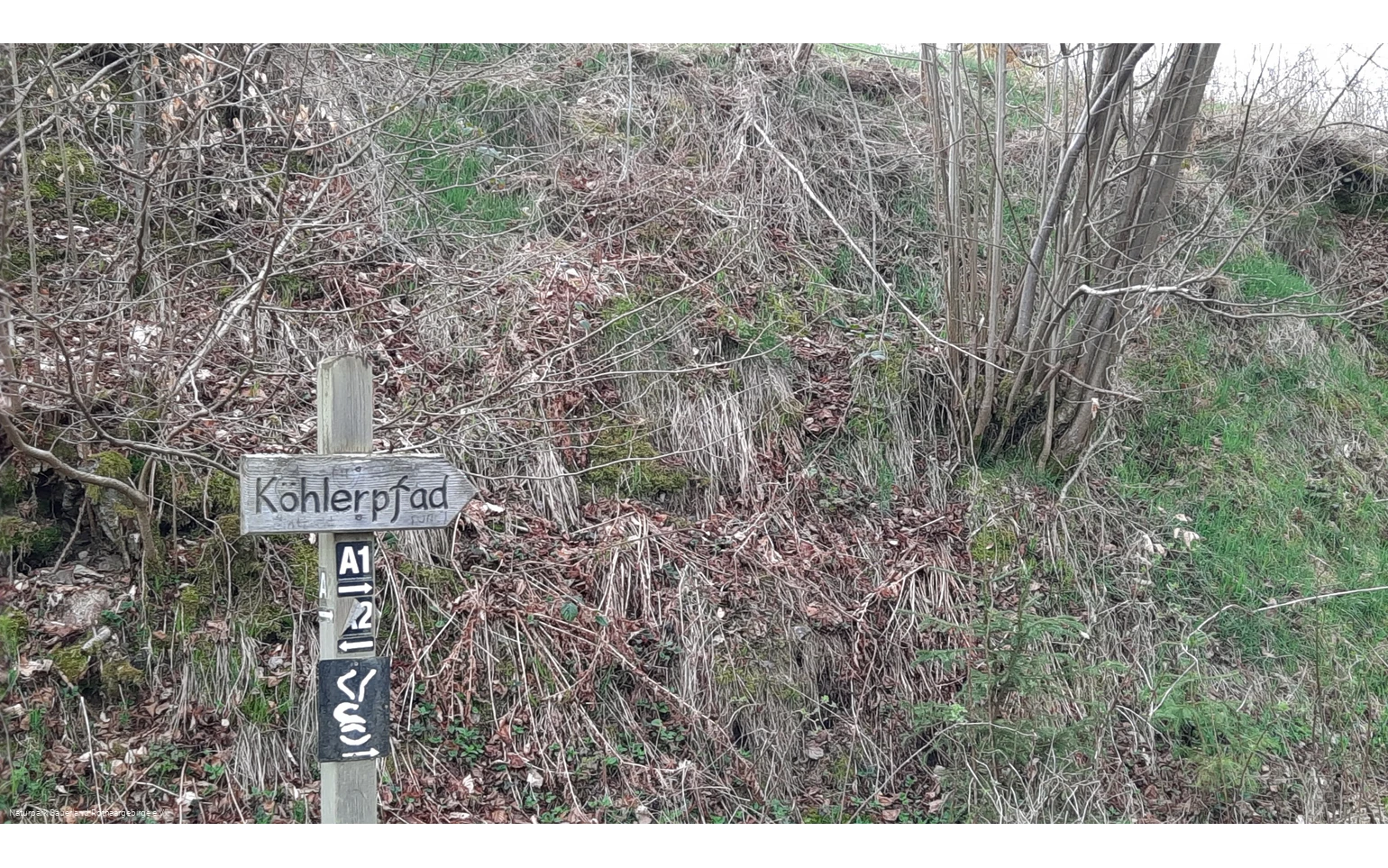 Auf den Spuren der Köhlerei