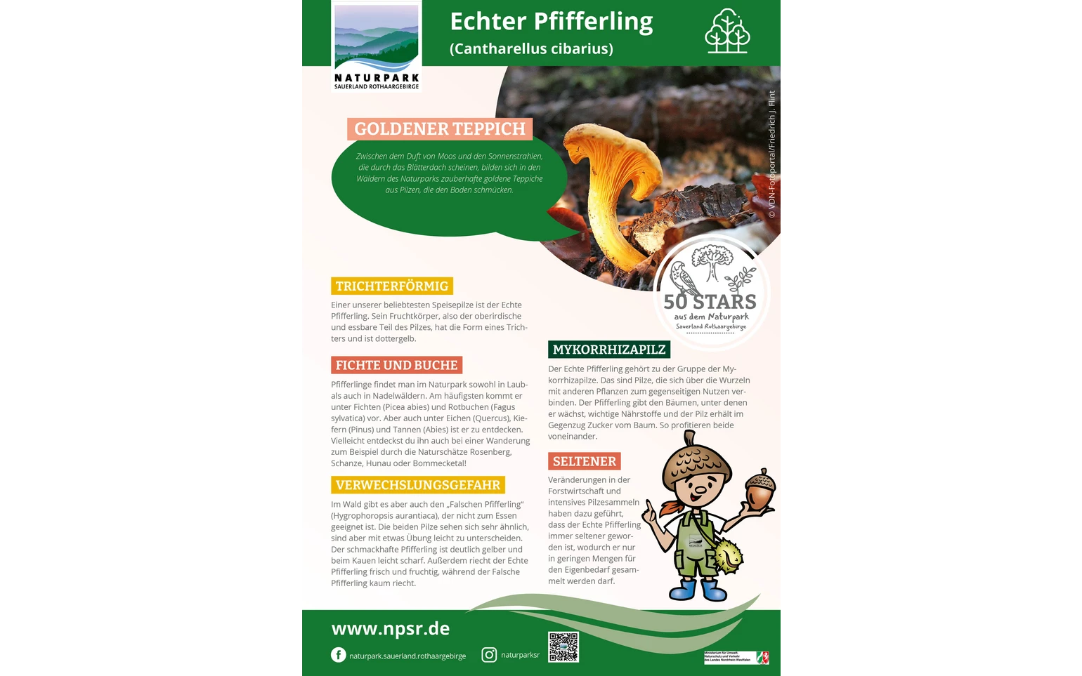 32_Pfifferling