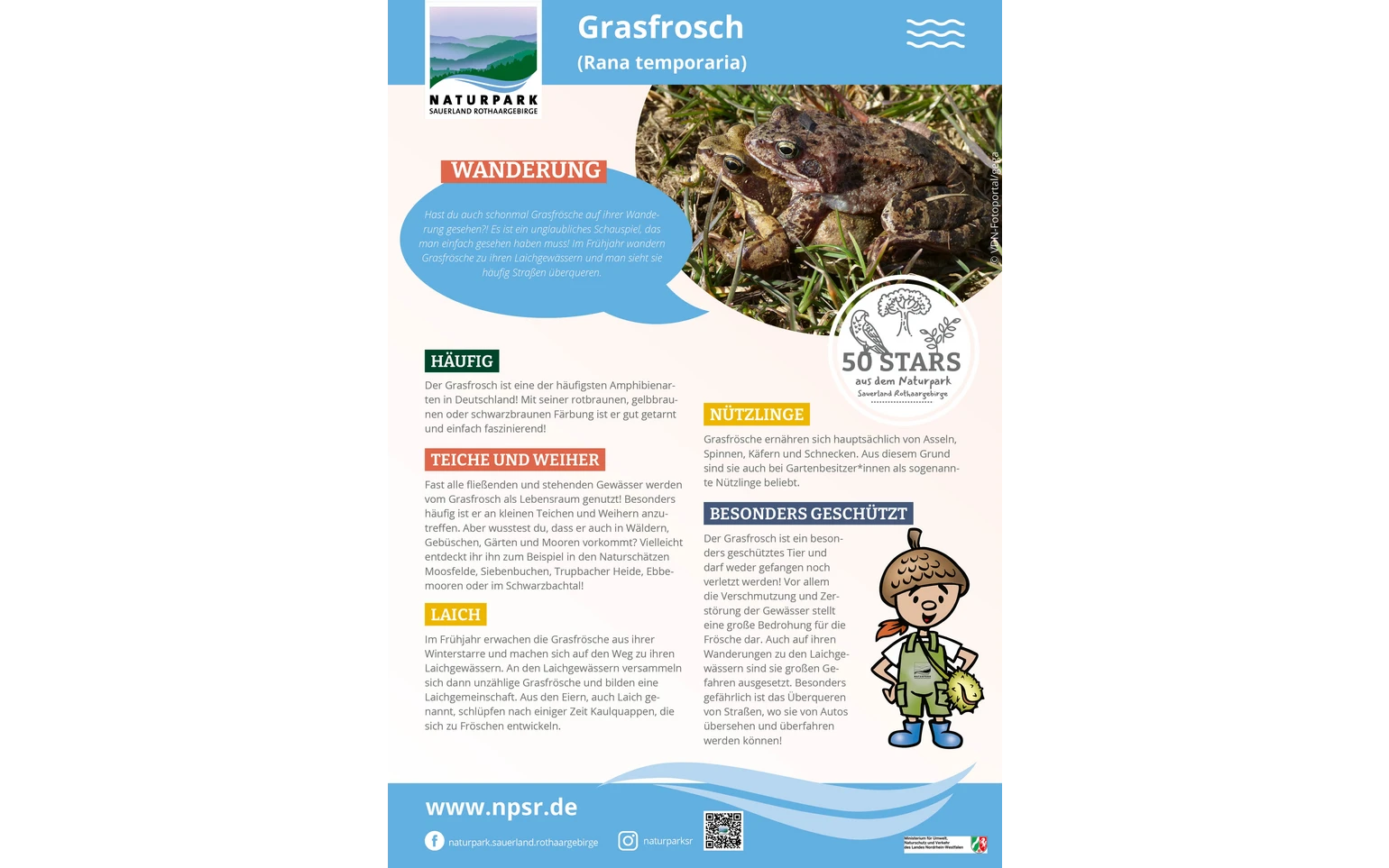 13_Grasfrosch