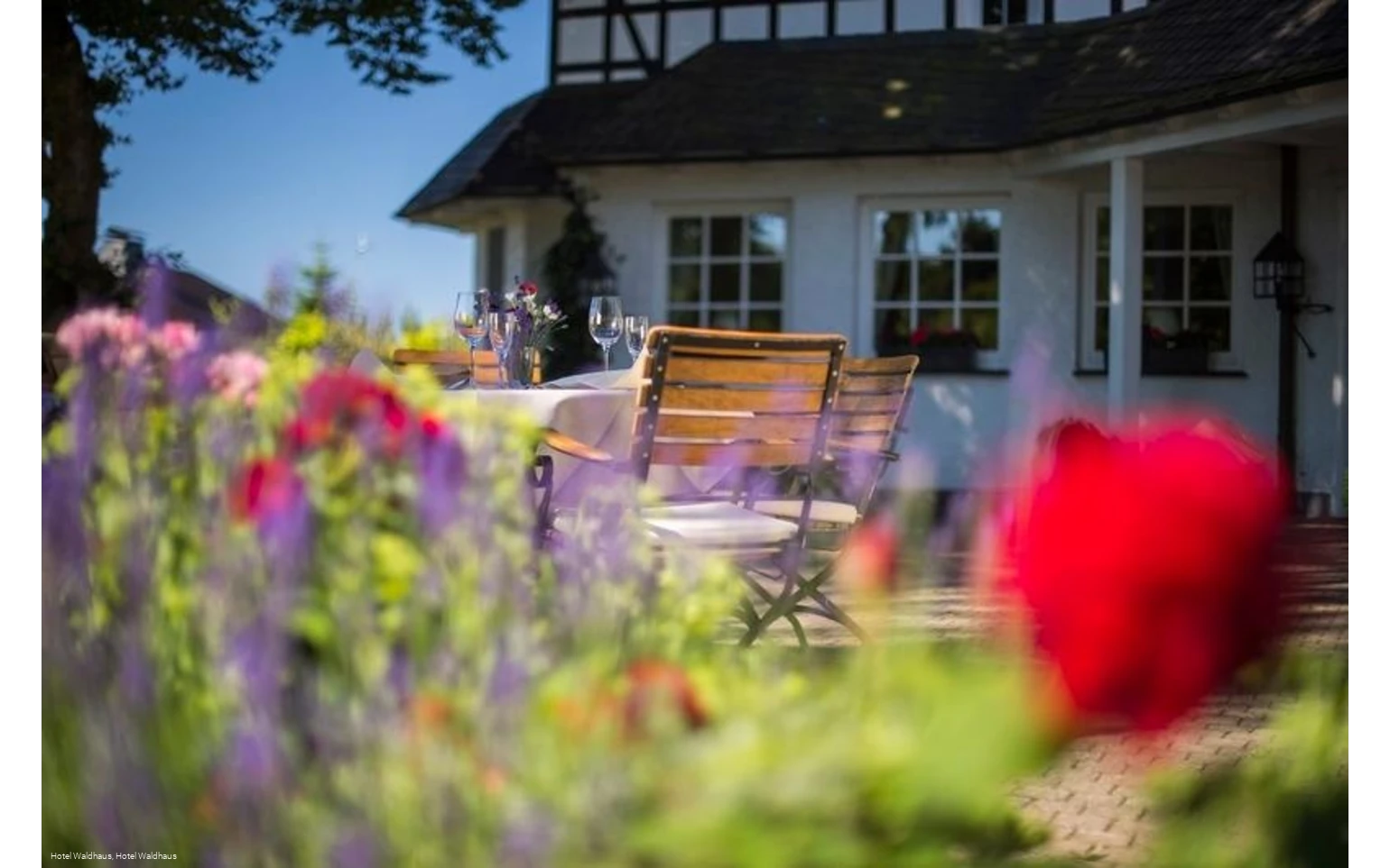 Biergarten Hotel Waldhaus