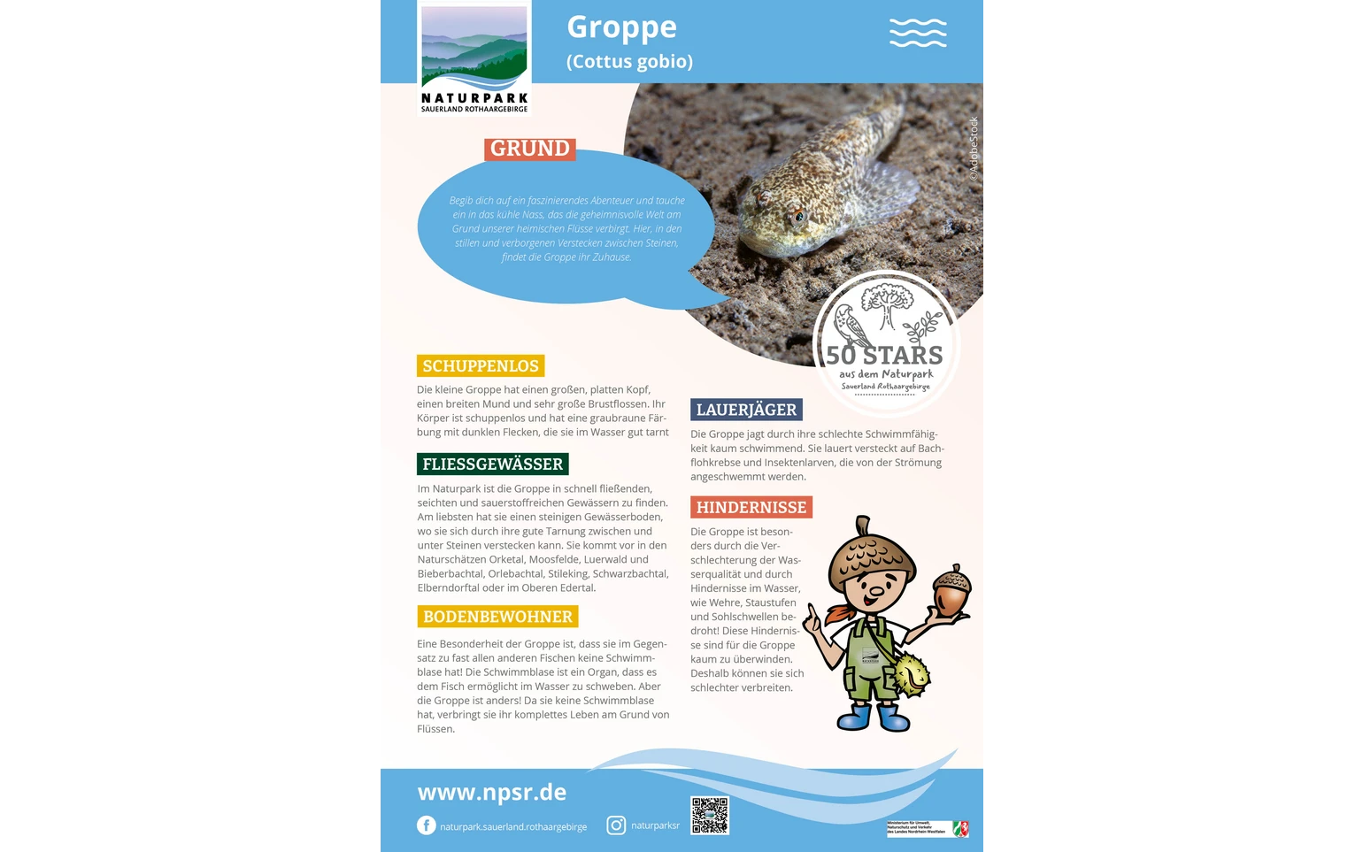 14_Groppe