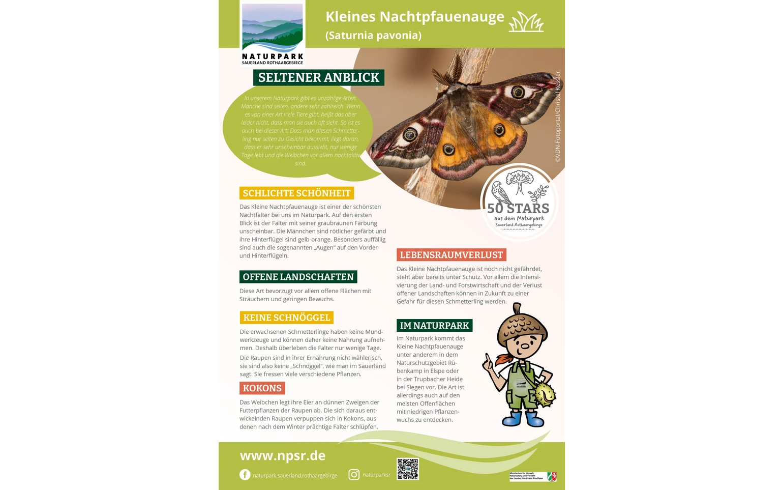 24_Nachtpfauenauge