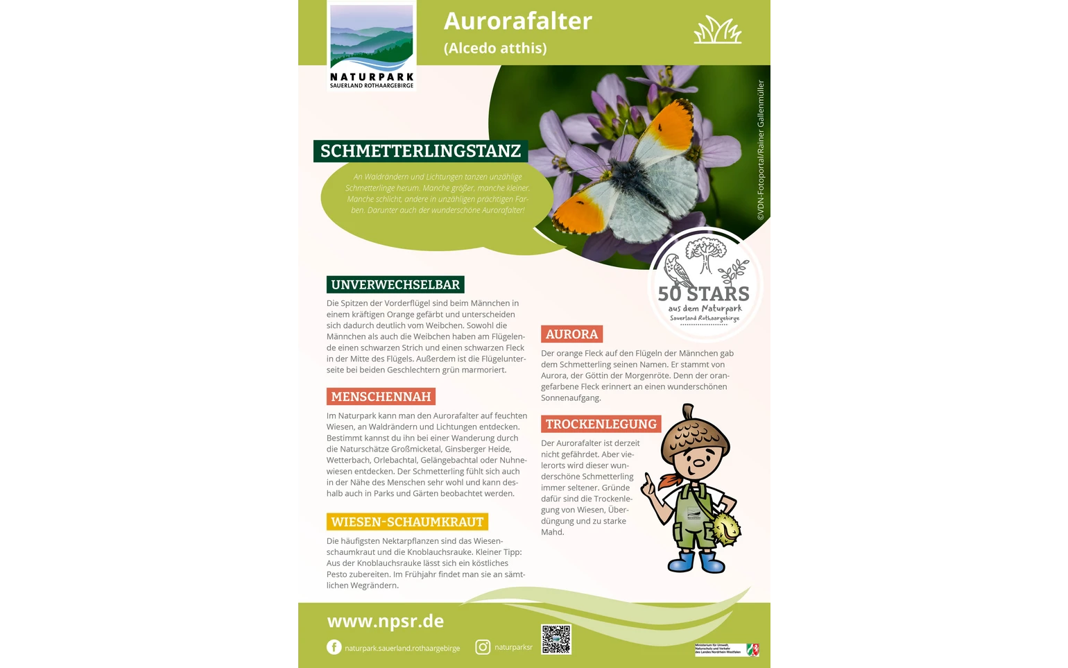 02_Aurorafalter