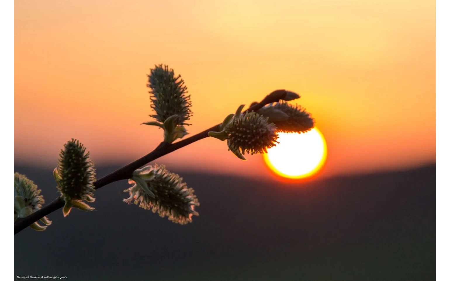 ... Sonnenuntergangsstimmung im Märkischen Sauerla