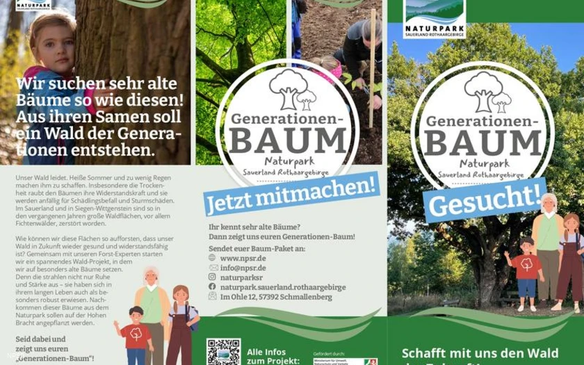 Flyer Generationbaum