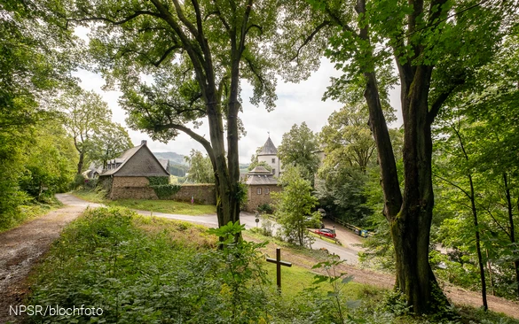 Blick von oben auf die beiden Linden