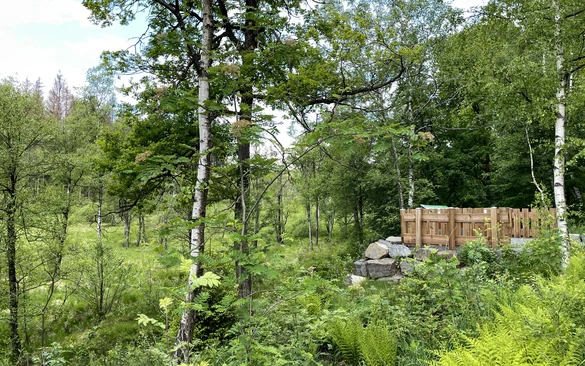 Informationsplateau Ebbemoore & Sagenort "Die Römer in der Grundlose"