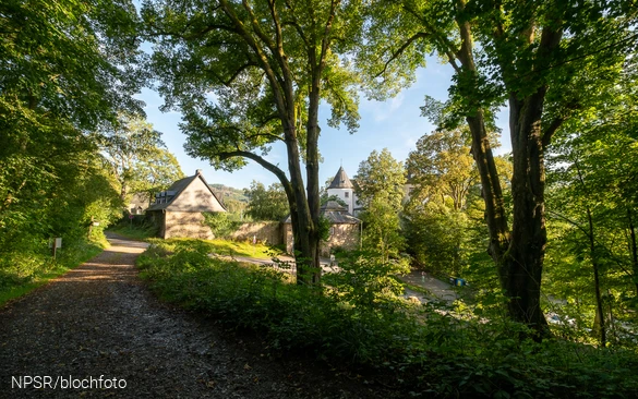 Beide Linden an der Burg Bilstein sind als Naturdenkmäler ausgewiesen.