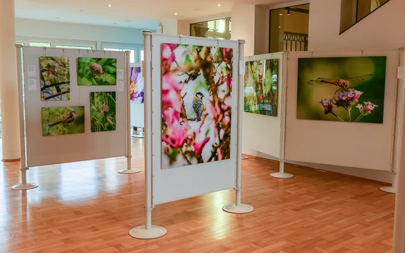 Ausstellung im Kreishaus Olpe_1