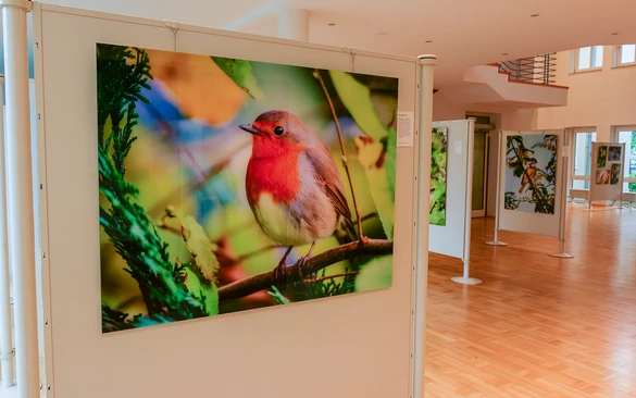 Ausstellung im Kreishaus Olpe_2