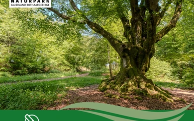 Jahresrückblick 2025