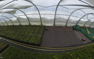 Das Jahr 2025 beginnt