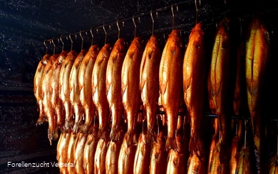 Räucherfische