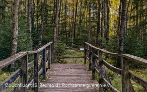 Steg an der Ederquelle auf dem Rothaarsteig