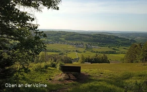 Waldsofa mit traumhaften Panoramaausblick