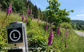 Löffelpfad mit Wegezeichen