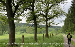 Vorspanneiche Richtung Dollenbruch