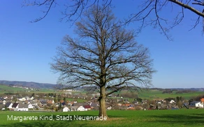 Aussicht vom Wellenberg auf Neuenrade-Kuentrop