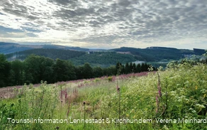 Ausblick von der Kophelle nach Kohlhagen