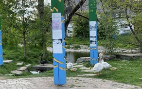 Stelenplatz Saalhausen