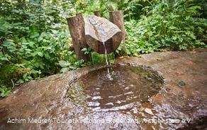 Siegquelle bei Netphen-Walpersdorf Siegquelle bei Netphen-Walpersdorf