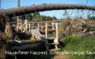 Der Kyrill-Pfad