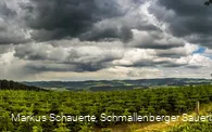 Aussicht am Wanderparkplatz "Am Brande"