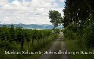 Ankunft am Wanderparkplatz "Am Brande"