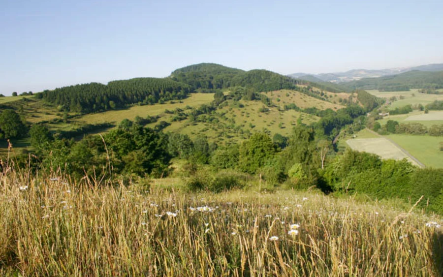 14_H_Diemeltal-Werner Schubert.jpg