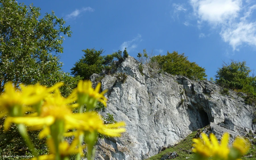 Felswand