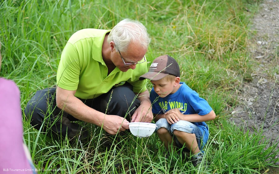 Wisent Wildnis Waldpädagogik 3