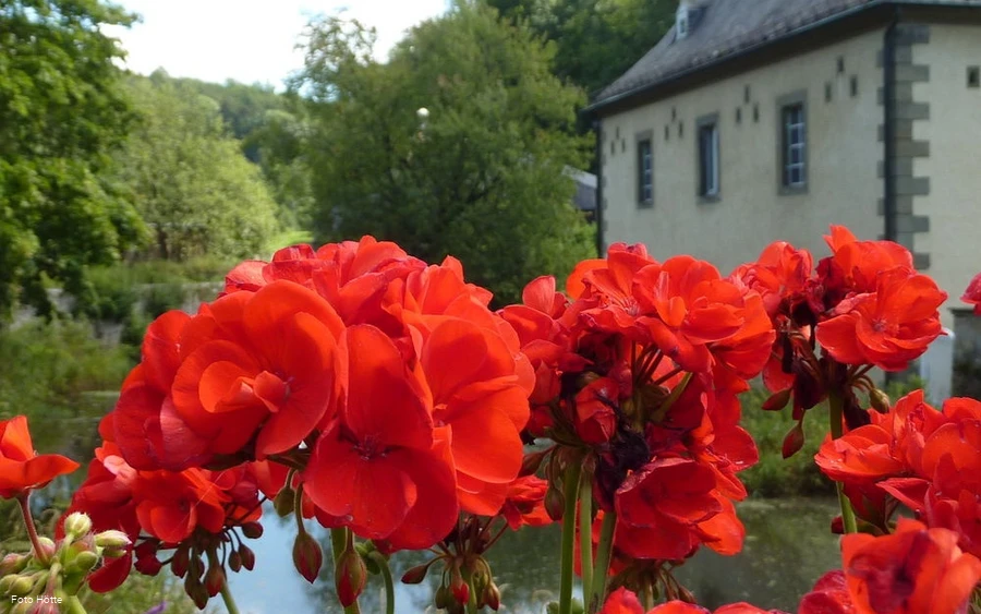 Gräfte Schloss Körtlinghausen