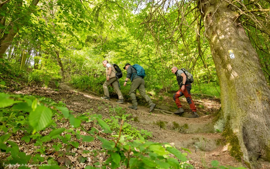Wittgensteiner Schieferpfad