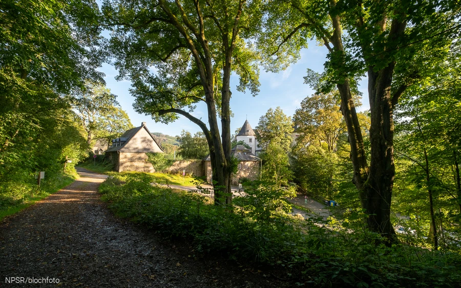Beide Linden an der Burg Bilstein sind als Naturdenkmäler ausgewiesen.