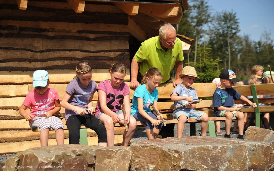 Waldpädagogik Wisent Wildnis Schnitzen