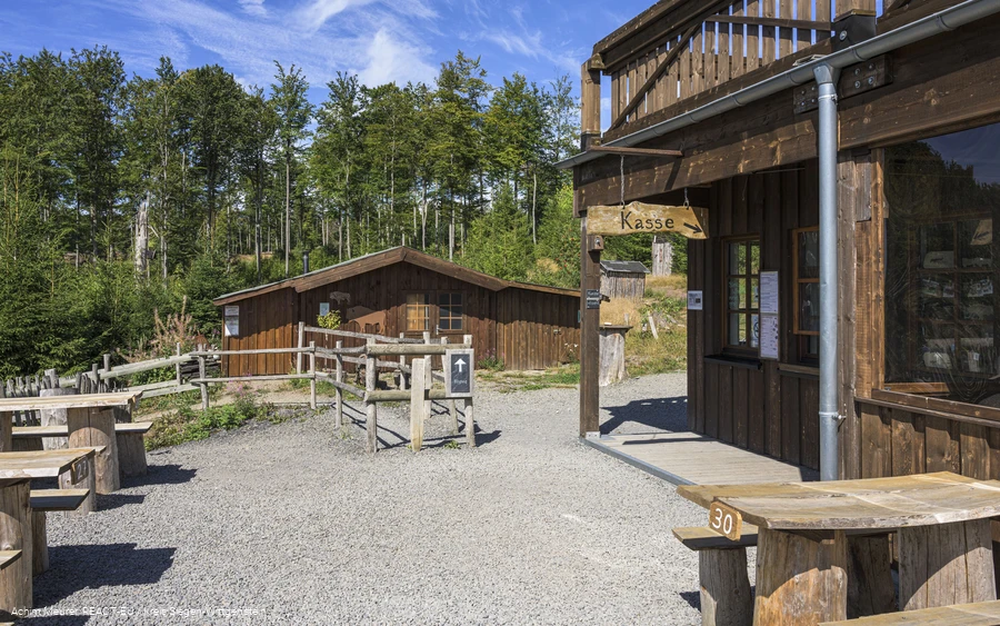 Eingang Wisent-Wildnis